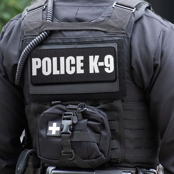 Набор шевронов 3 шт на липучке Police K-9, вышитые патчи нашивки 800029895 фото