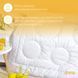 Ковдра зимова Air Dream Exclusive подвійна TM IDEIA 155*210 см 8-11763 фото 6