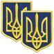 Набор шевронов 2 шт с липучкой Герб Трезубец Украины 6х8 см желтый на синем, вышитый патч 800029905 фото 1