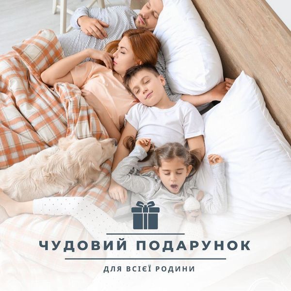 Ковдра ДобраНіч IDEIA 175х210 см всесезонна антиалергенна пл 300 г/м2 біла 8-35577*001 фото